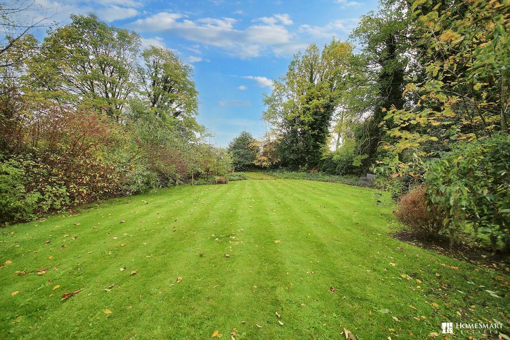 Back Garden