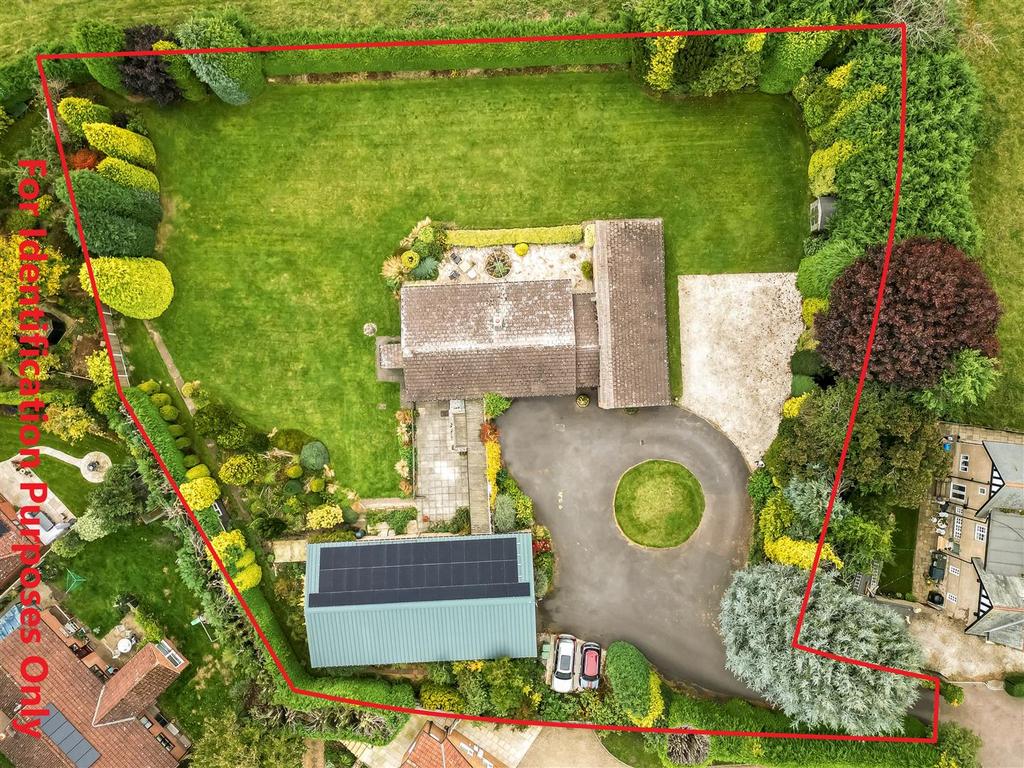 DJI 0762 1.jpg