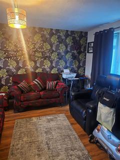 undefined, Sorrel, Tamworth