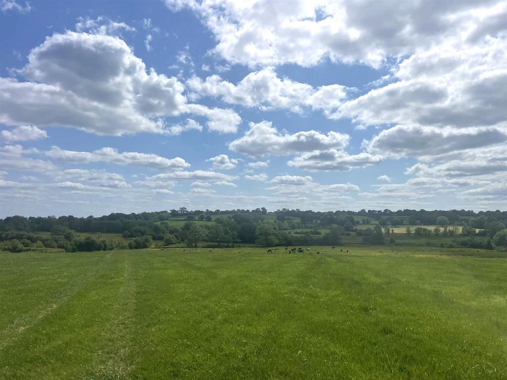 Lot 5