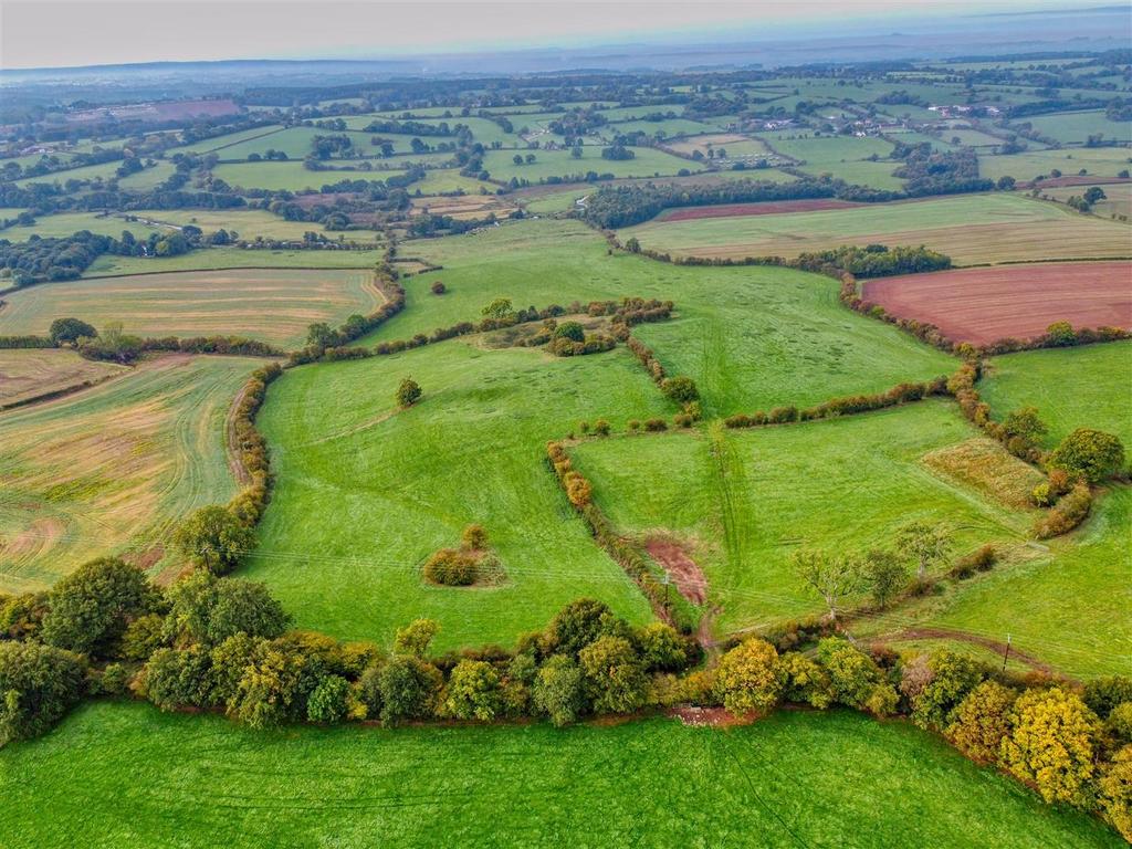Lot 5