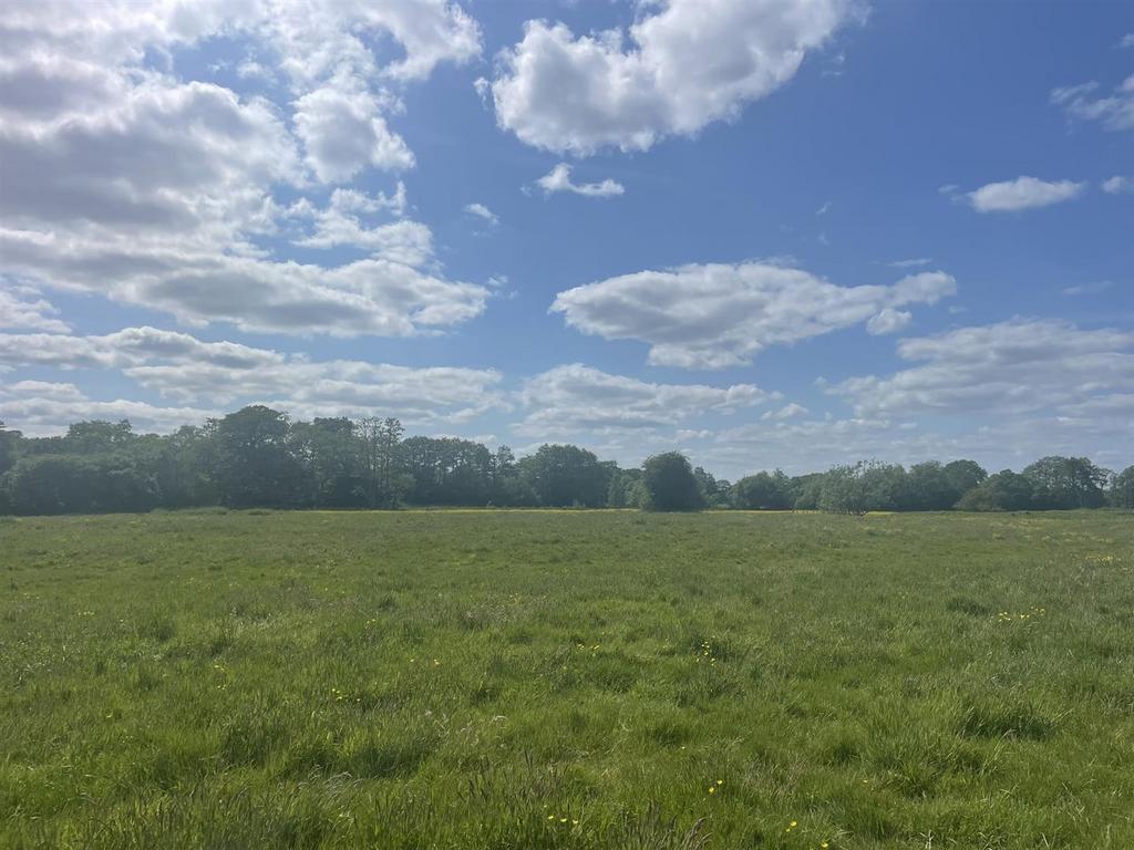 Lot 5