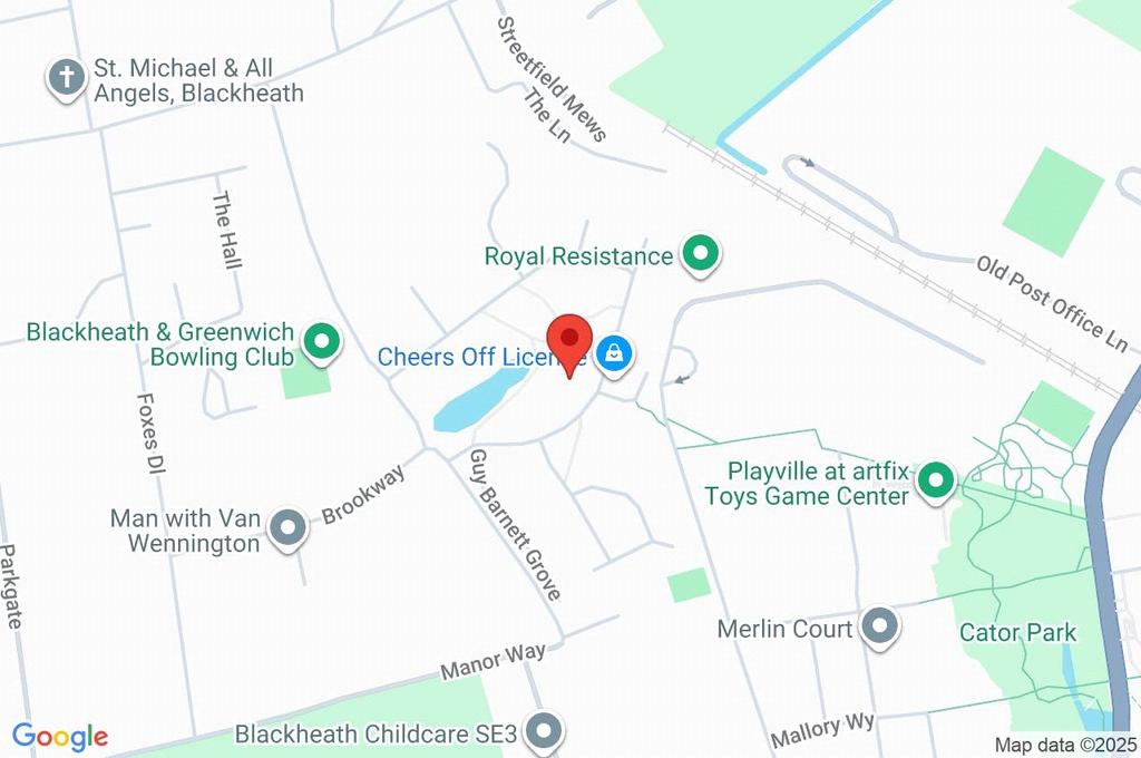 Google Maps Image