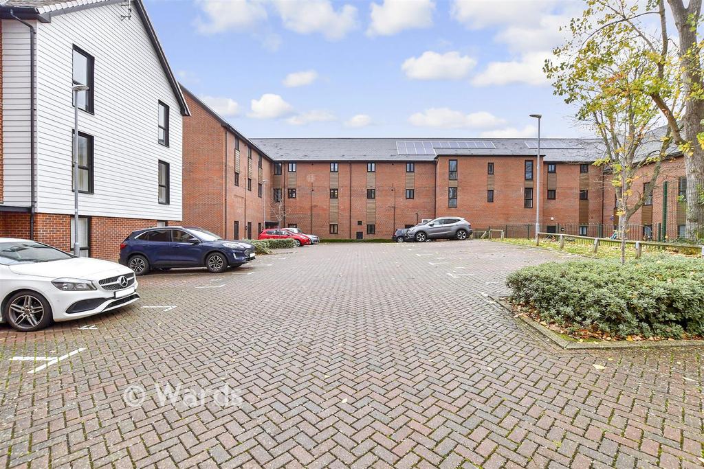 Driveway/Parking