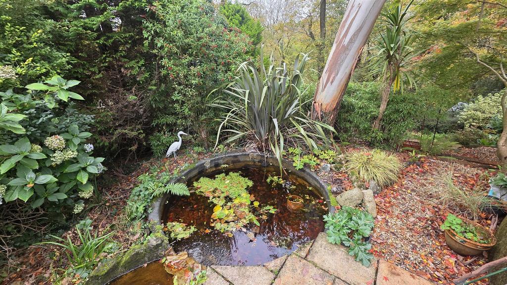 Pond