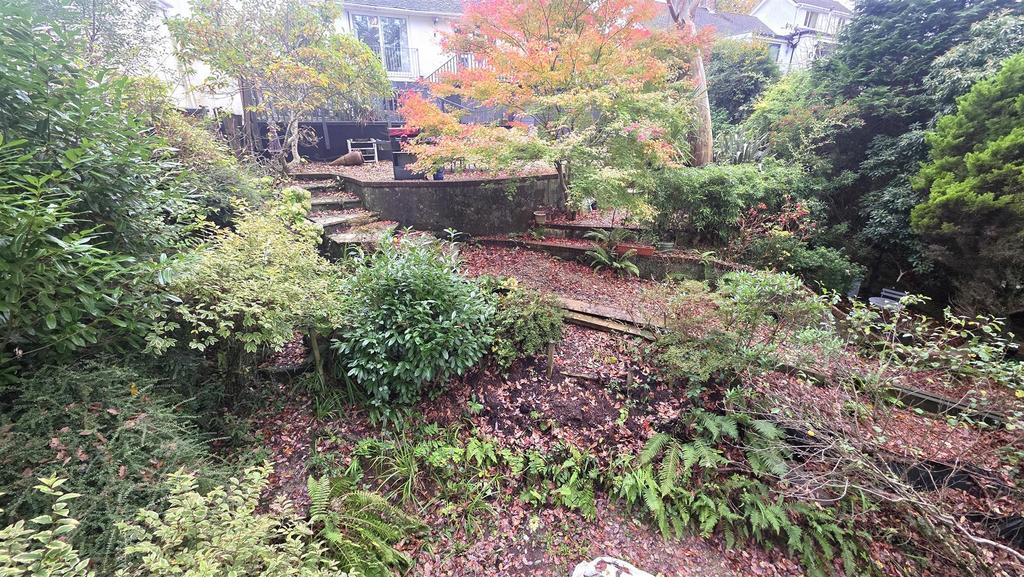 Garden (3).jpg