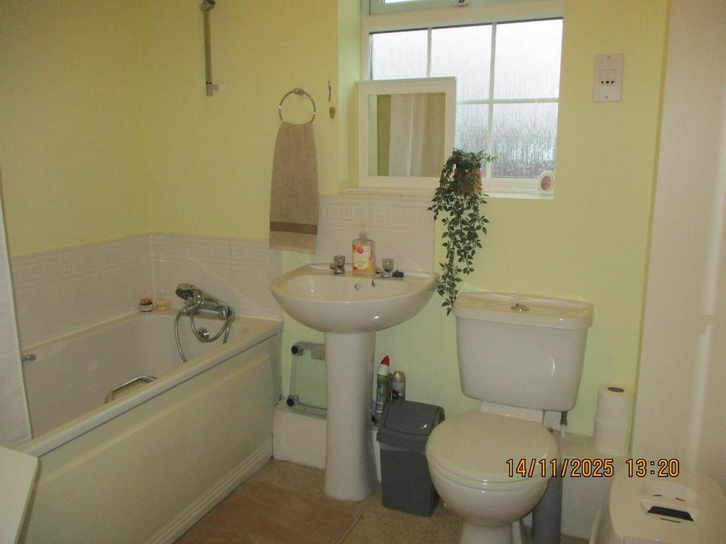 Img 3762.jpg