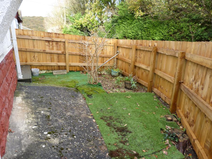 Back Garden