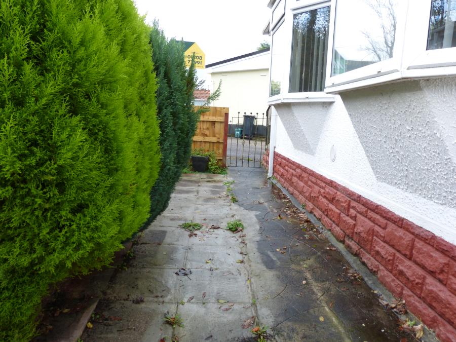 Side Garden