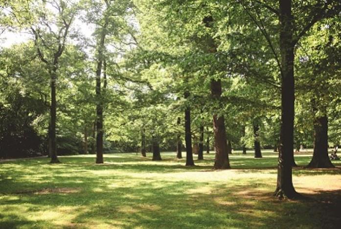 Dunnikier park green.jpg