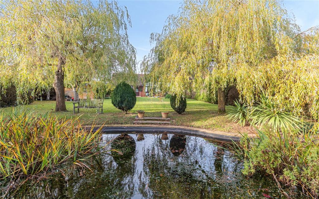 Pond