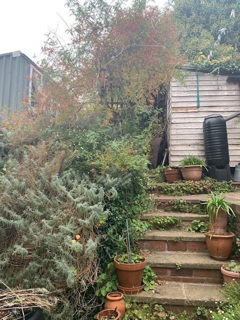 Rear garden.jpg