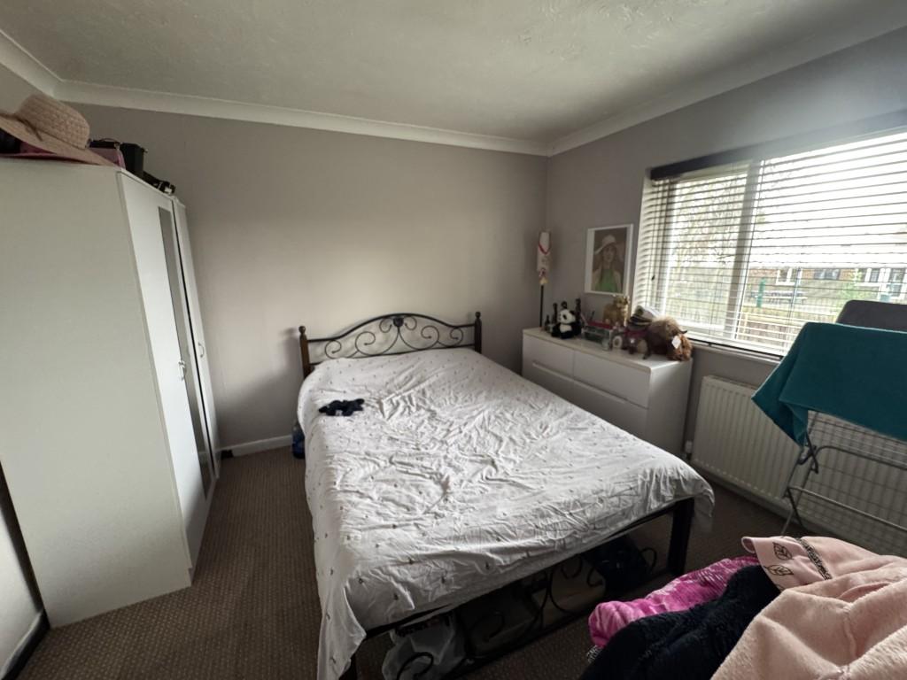 5  Medium  T202511121550.jpg