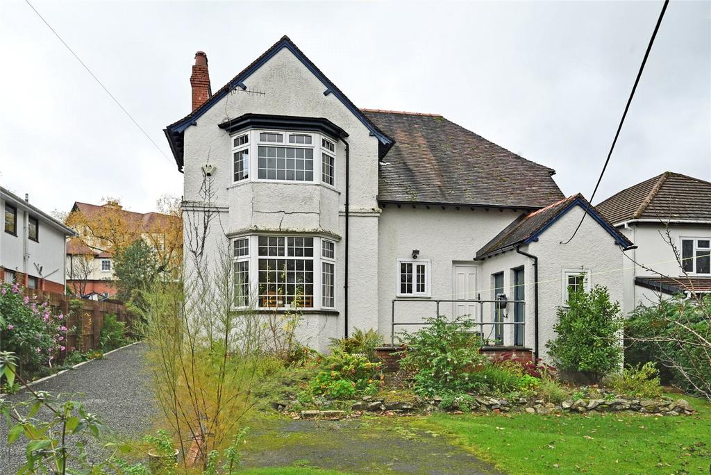 Rear Elevation