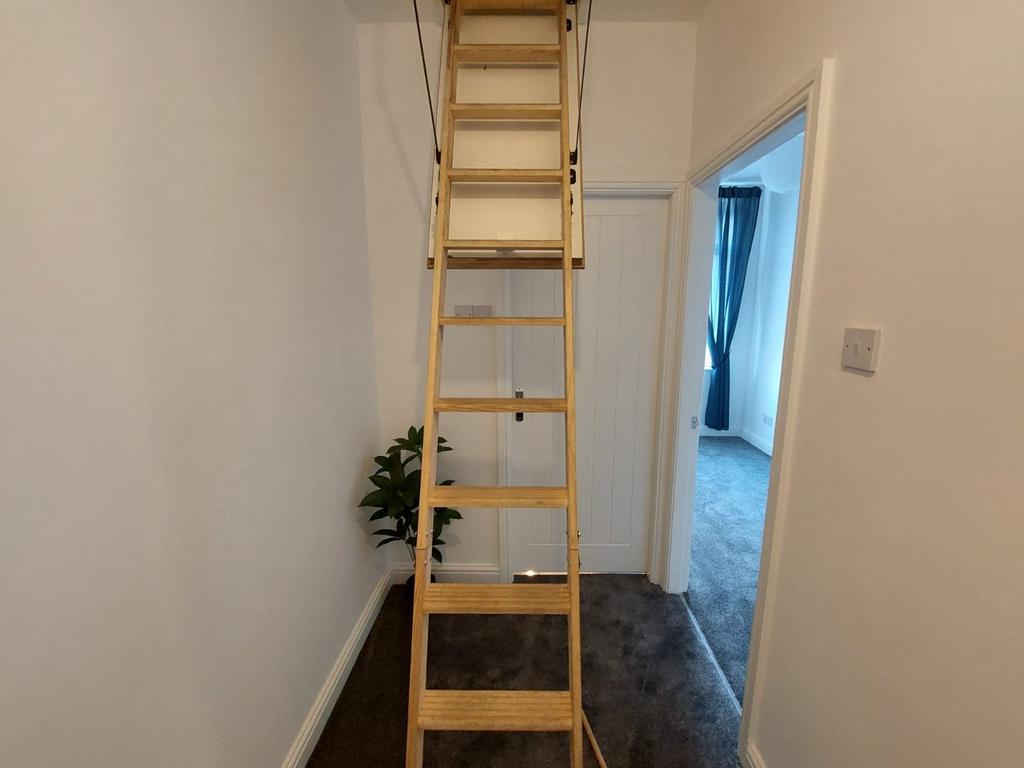 Loft Ladder