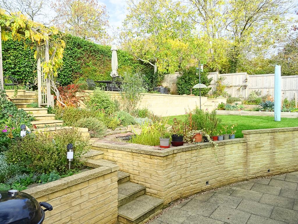 Garden (Back 3) -