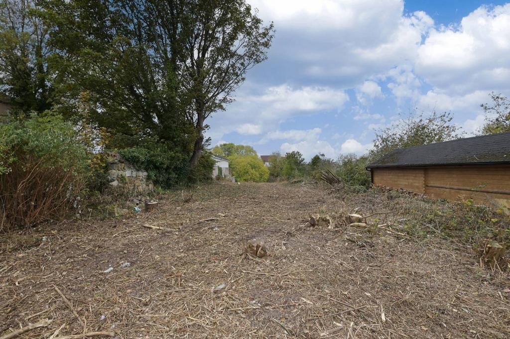 MFL0245810 437.jpg