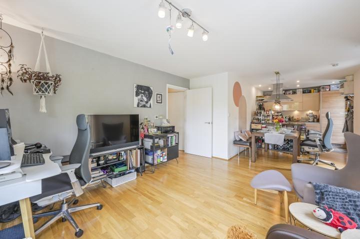 Shdh6205996 large-11-12 jpg