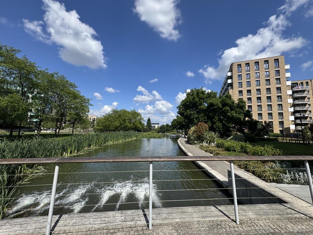 Img 3514