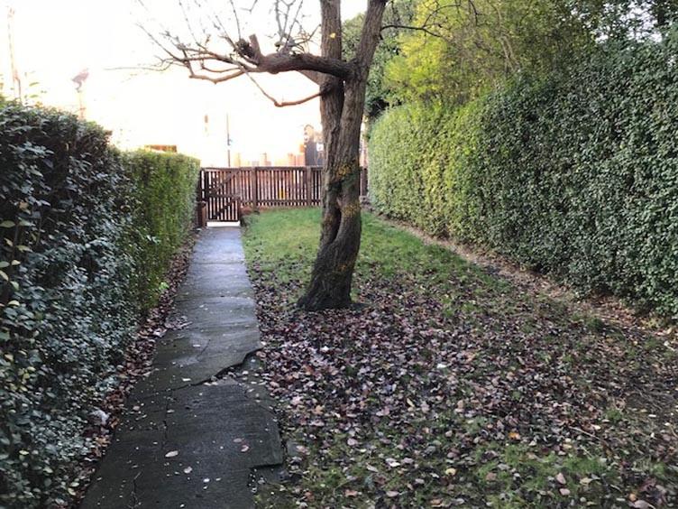 Private rear garden with a paved path, mature t...