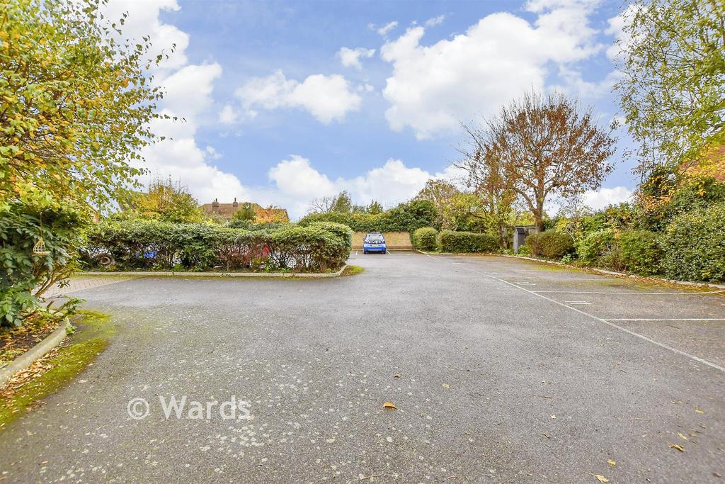 Driveway/Parking