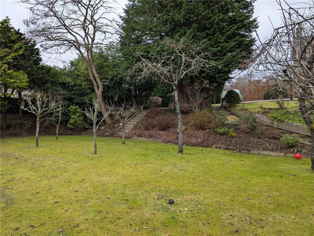 The Orchard Plot