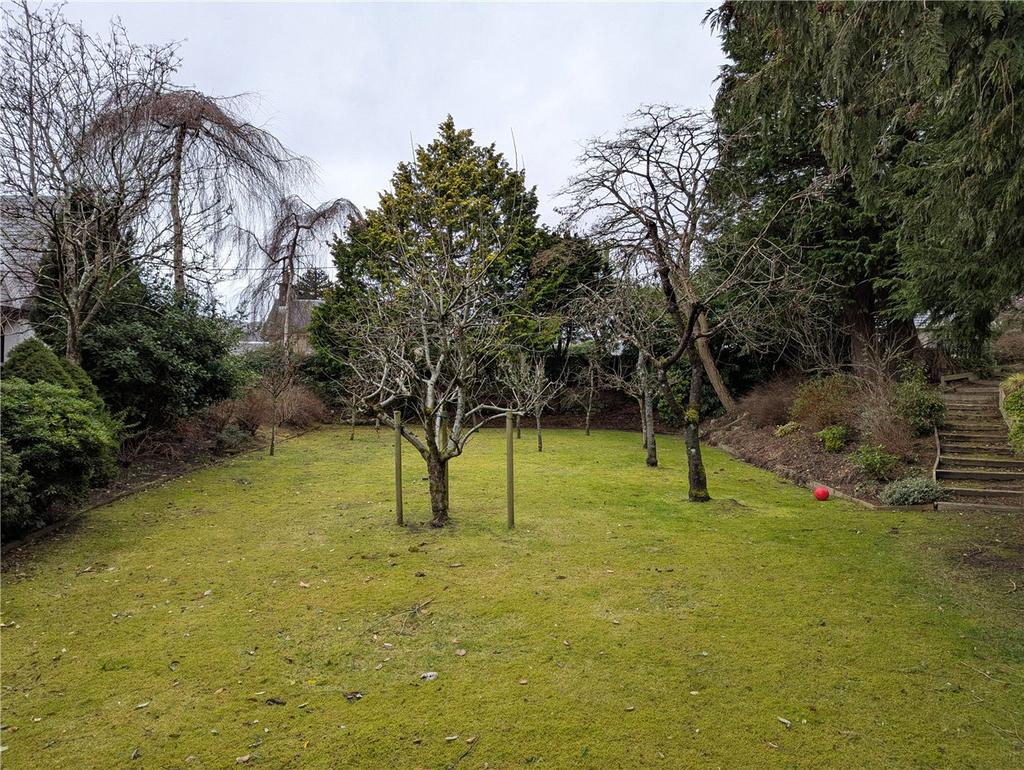 The Orchard Plot