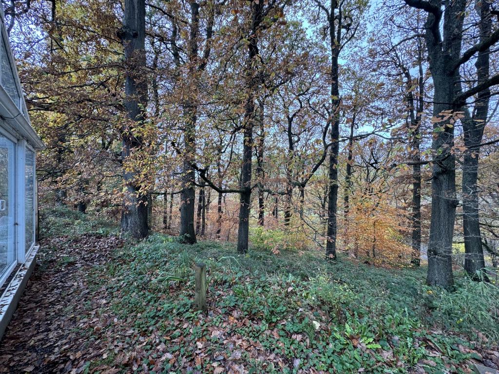 To the Side and Rear