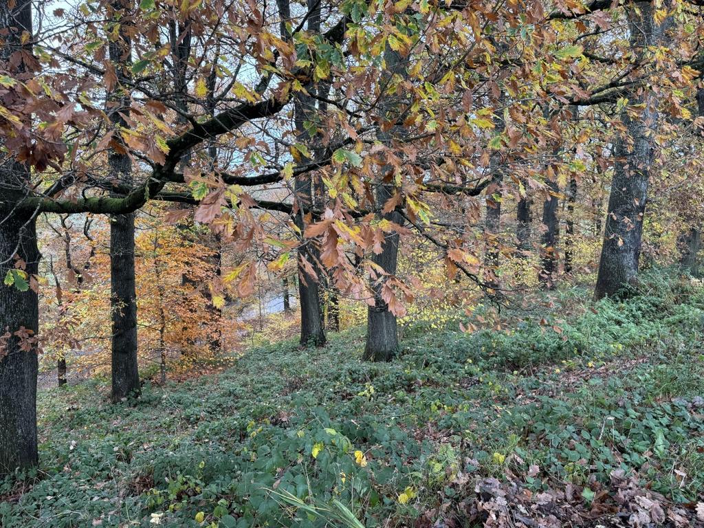 To the Side and Rear