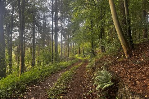undefined, Penthryn Wood, Berriew, Welshpool, Powys, SY21
