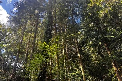 undefined, Penthryn Wood, Berriew, Welshpool, Powys, SY21