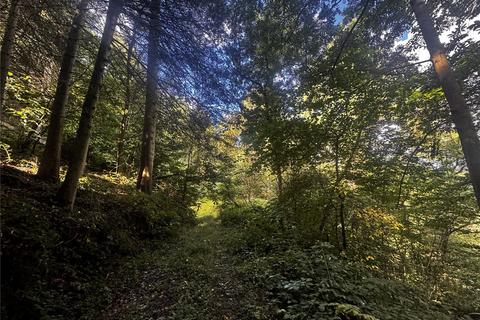 undefined, Penthryn Wood, Berriew, Welshpool, Powys, SY21