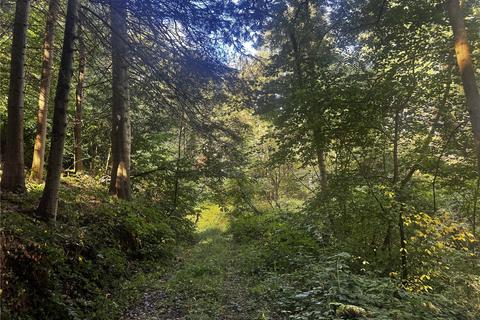 undefined, Penthryn Wood, Berriew, Welshpool, Powys, SY21