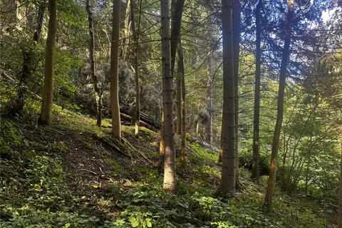 undefined, Penthryn Wood, Berriew, Welshpool, Powys, SY21