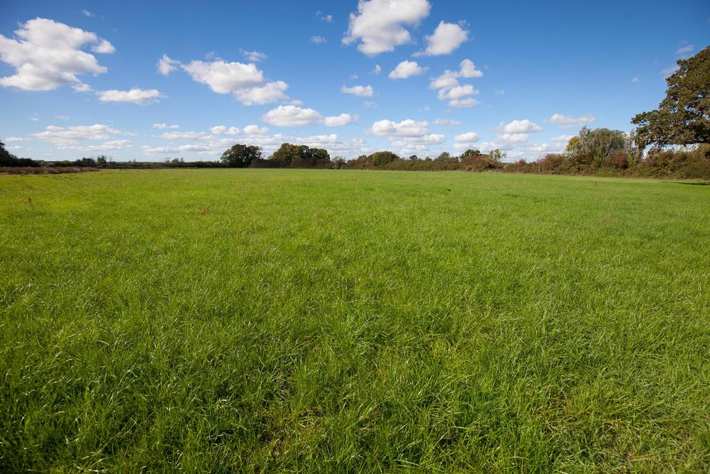 Picture No. 03