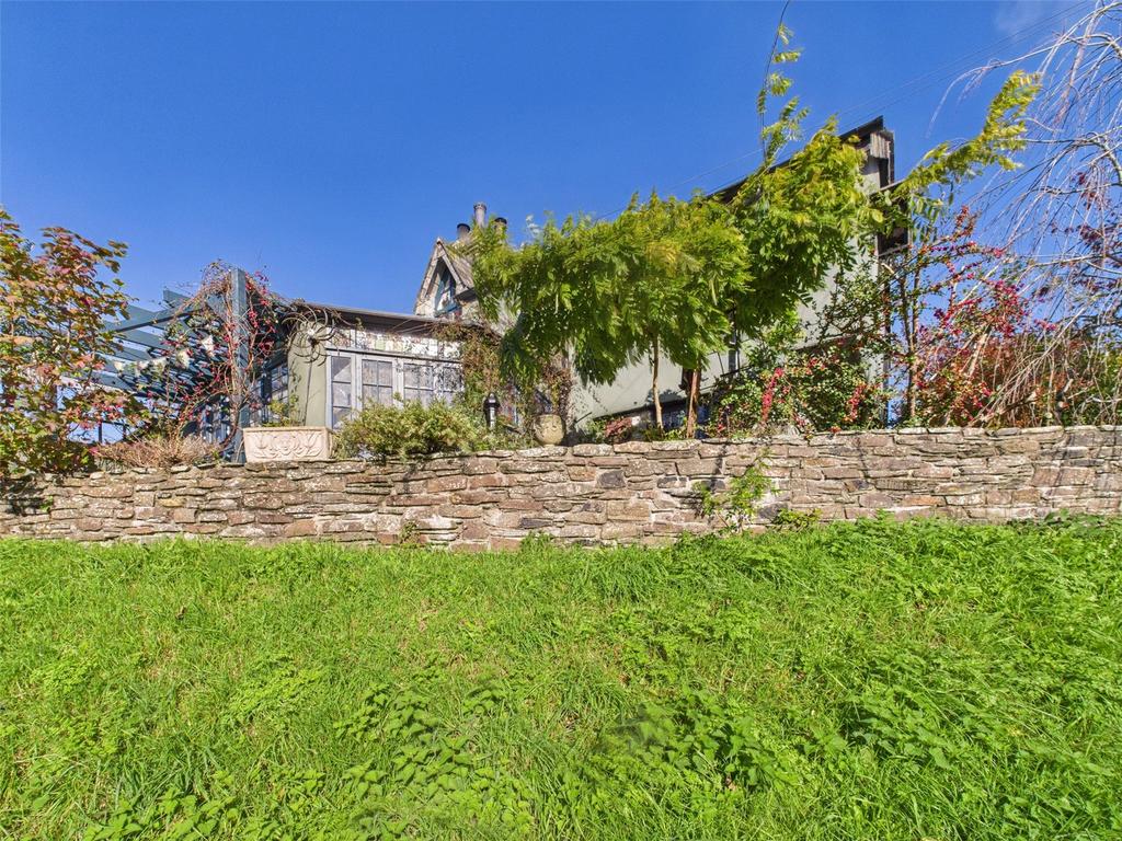 Side View