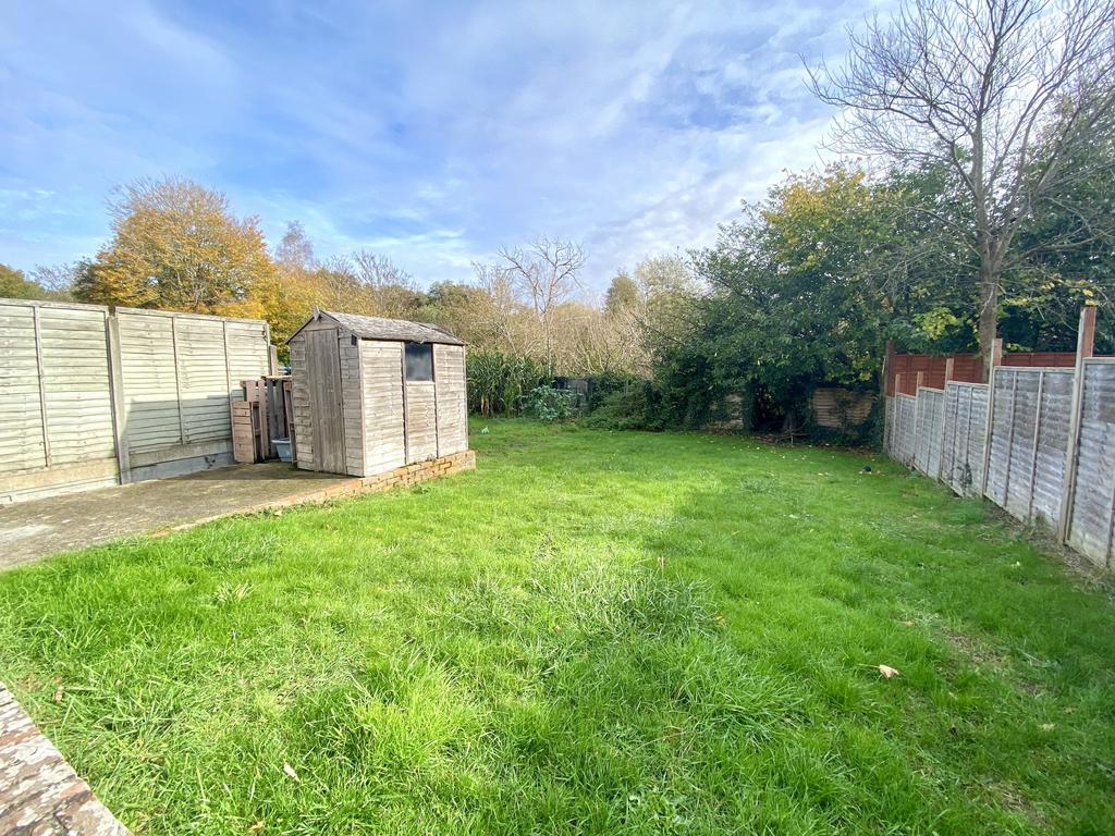 Back Garden.jpeg