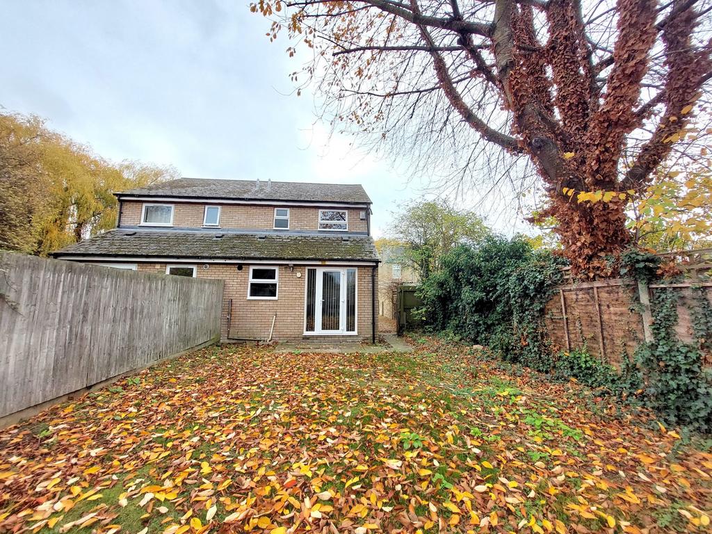 Back Garden