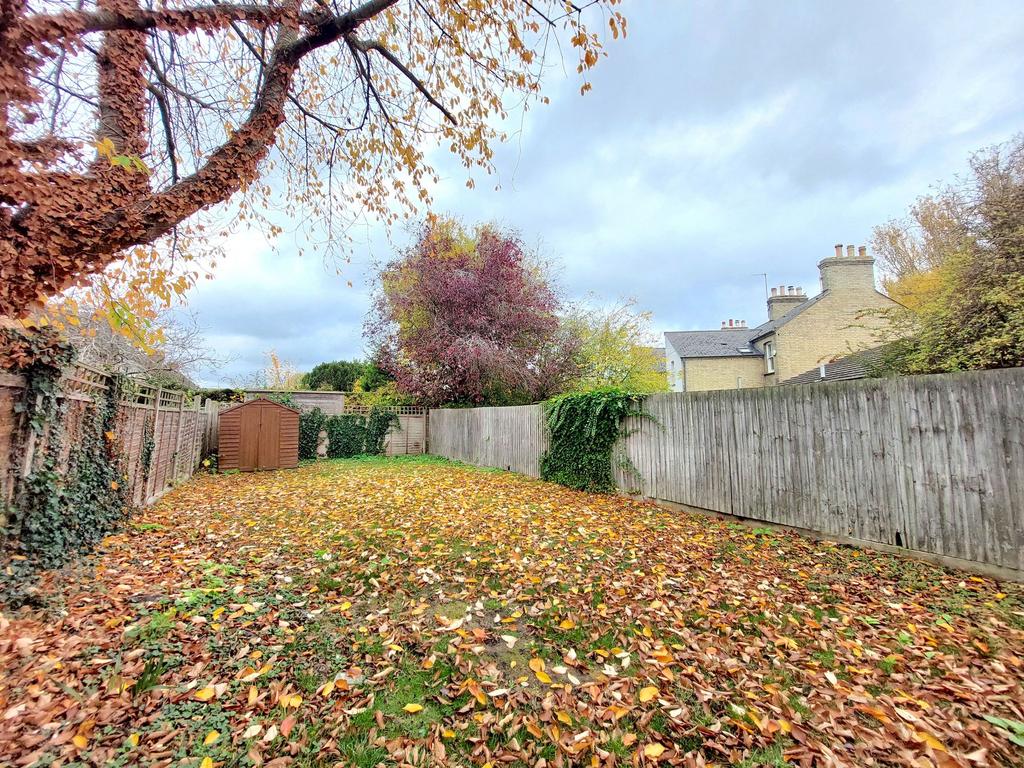 Back Garden