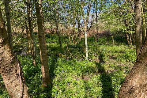 undefined, Higs Wood, near Ross-on-Wye, Herefordshire HR9
