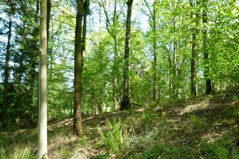 undefined, Higs Wood, near Ross-on-Wye, Herefordshire HR9