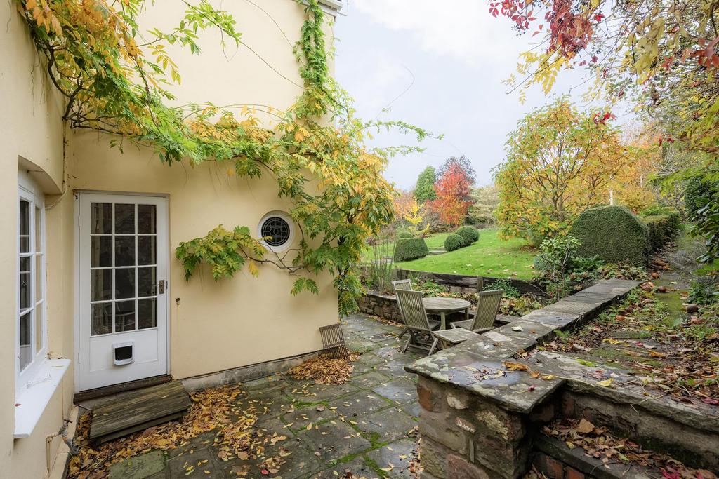 Garden ()