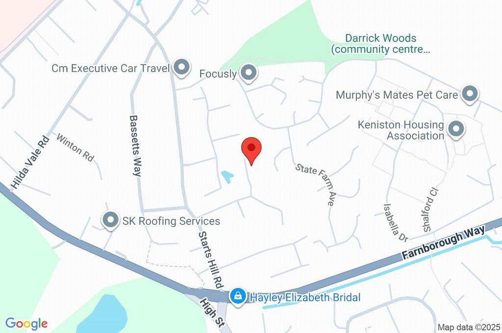 Google Maps Image
