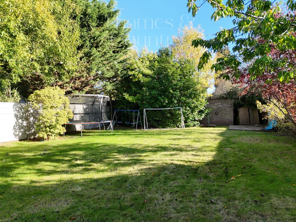 Back garden