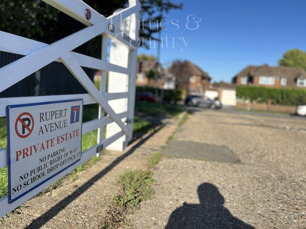 Rupert Avenue