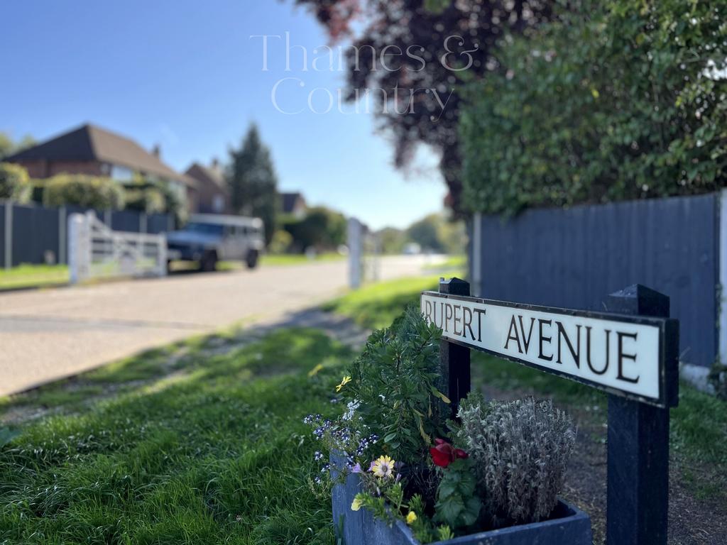 Rupert Avenue