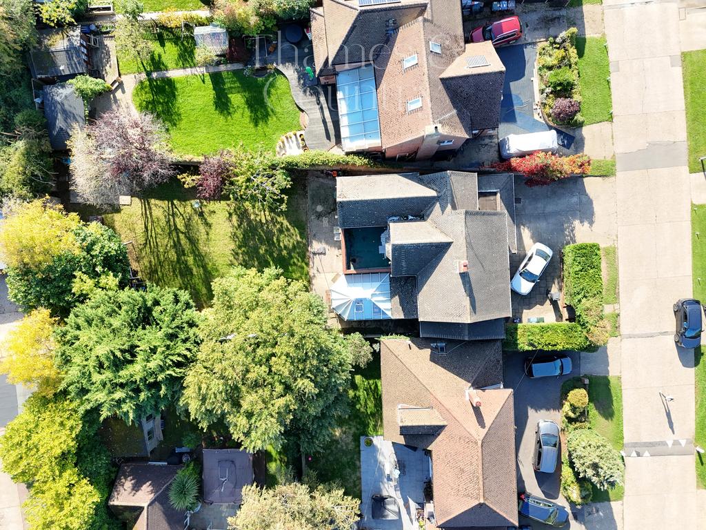 Plot view