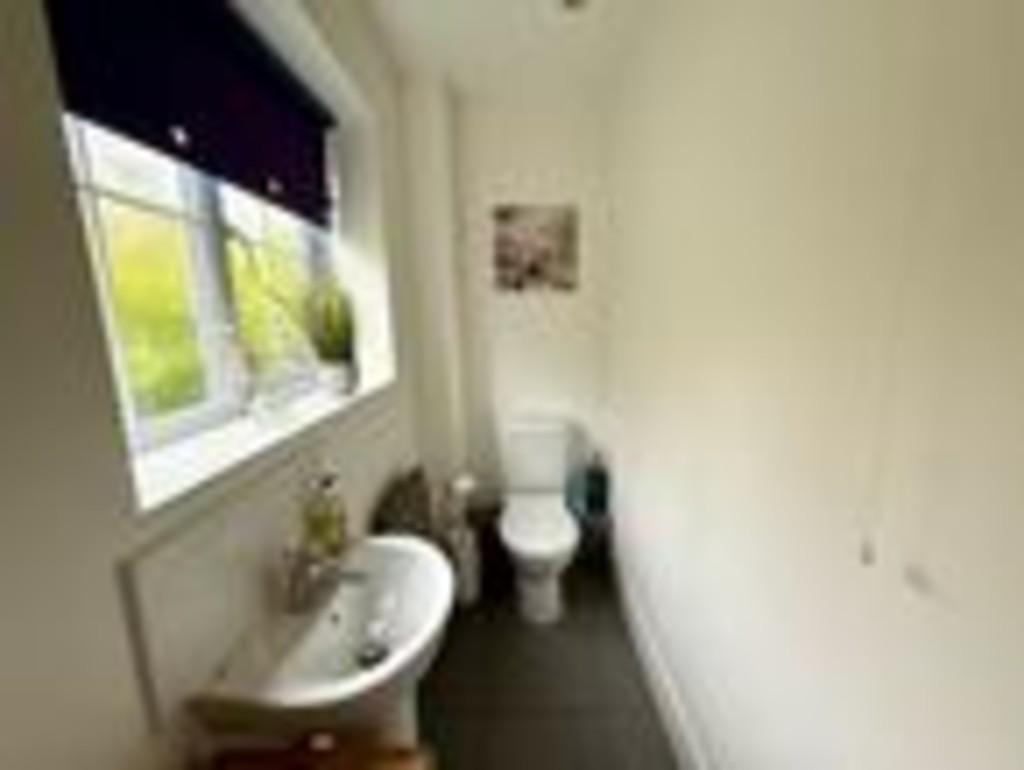 1 ferndale wc