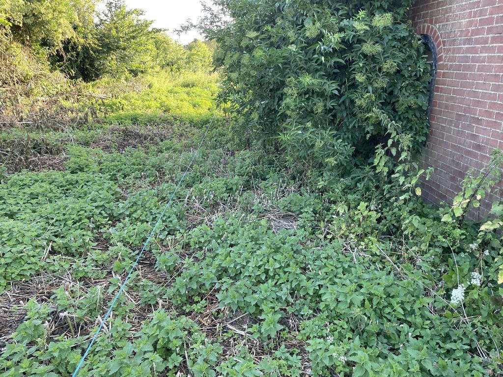 Img 6830