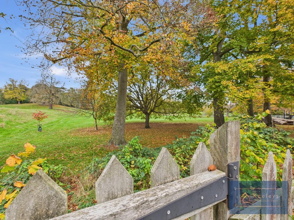 Back garden overlooking Cherry Park